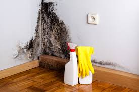 Professional Mold Removal & Remediation in Ballard, UT